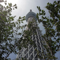 tokyo-skytree1